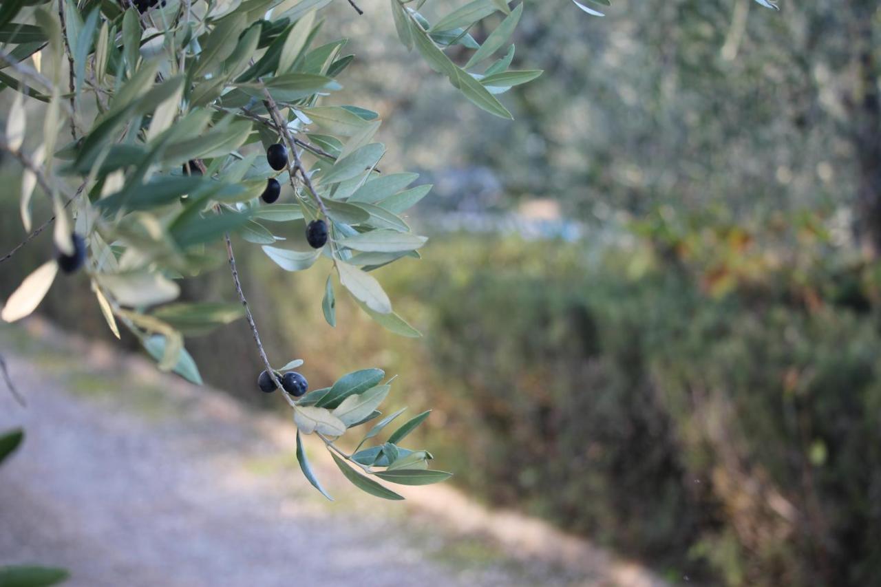 Casa Vacanze Rondini Blu Montespertoli Bagian luar foto